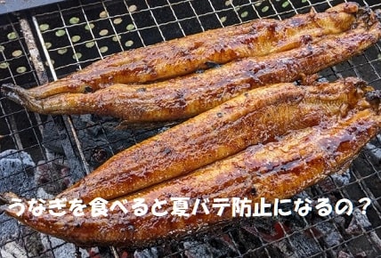 うなぎの蒲焼き+見出し：うなぎを食べると夏バテ防止になるの？