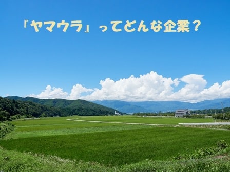 信州の田園風景+見出し：『ヤマウラ』ってどんな企業？